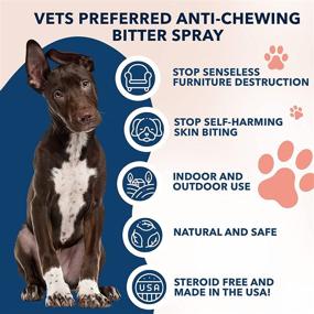 img 1 attached to 🐶 Vets Preferred Bitter Spray for Dogs - Anti Chew Spray to Stop Biting Furniture, Chewing Prevention, Deterrent, Licking & Biting Furniture Spray for Dogs