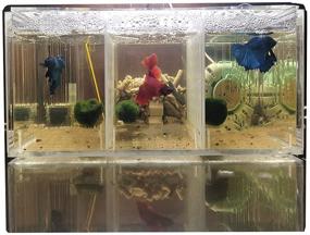 img 1 attached to 🐠 Mini Desktop Goldfish Aquarium - Acrylic Material Milscat Betta Fish Tank for Sick Fish Isolation (Three Lattice Space)