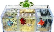 🐠 mini desktop goldfish aquarium - acrylic material milscat betta fish tank for sick fish isolation (three lattice space) logo