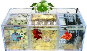 img 4 attached to 🐠 Mini Desktop Goldfish Aquarium - Acrylic Material Milscat Betta Fish Tank for Sick Fish Isolation (Three Lattice Space)