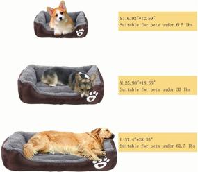 img 3 attached to 🐾 AsFrost Super Soft Pet Sofa Bed - Non-Slip Bottom Lounger for Cats - Self Warming and Breathable - Premium Bedding