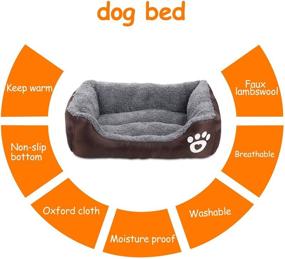 img 1 attached to 🐾 AsFrost Super Soft Pet Sofa Bed - Non-Slip Bottom Lounger for Cats - Self Warming and Breathable - Premium Bedding