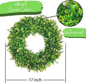 img 2 attached to 🌿 CARESOME 17" Green Boxwood Wreath: Vibrant Weatherproof Farmhouse Decor for Christmas, Fall & Home Decoration