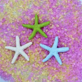 img 2 attached to Colorful Resin Pencil Finger Starfish - Ideal for Wedding Decor, Home Decor, and Craft Projects, 2.3 Inches