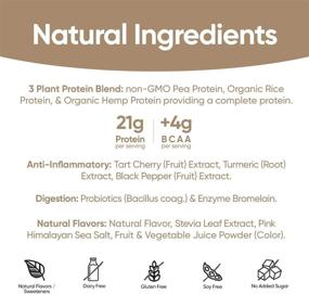 img 1 attached to 🌱 Tattle Plant Protein Powder - Vegan & Non-GMO, Natural Flavors & Sweeteners, Turmeric & Tart Cherry for Anti-Inflammation, Lactose & Gluten Free, Soy Free, No Sugar Added - Vanilla Cold Brew, 25 Servings