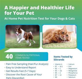img 3 attached to 🐾 Pet Nutrition Test Kit – 40 Items Tested for Cat & Dog Health, Hair Analysis – Vitamins, Amino Acids, Minerals – Accurate for All Breeds, Results in 5-7 Days
