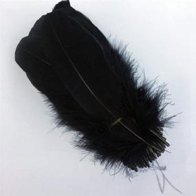 img 2 attached to 🦢 Черные натуральные гусиные перья Sowder для одежды, аксессуаров, пакет оптом - 100 штук.