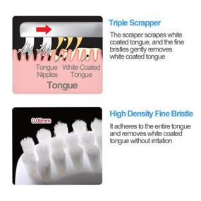 img 3 attached to Ebisu Toothbrush Premium Scraper Cleaner