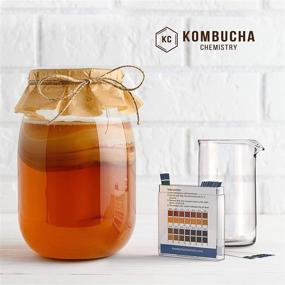 img 1 attached to 🍾 100-Pack Strips Kombucha Brew Intervals