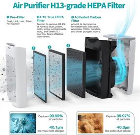 img 2 attached to 🌬️ H13 True Air Filter Cleaner for Large Rooms: AIRTOK Hepa Air Purifier - Eliminate Allergies, Dust, Pet Dander, Smoke, and Odor Effectively! Ideal for California Homes.