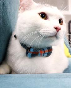 img 3 attached to 🐱 Joytale Plaid Cat Collar with Bow Tie and Bell, Enhanced Safety Features, 1 or 2 Pack Stylish Kitty Collars
