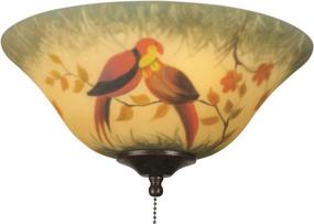 img 1 attached to 🦜 Fanimation G439 Glass Bowl: Exquisite 13-Inch Hand-Painted Parrot Design