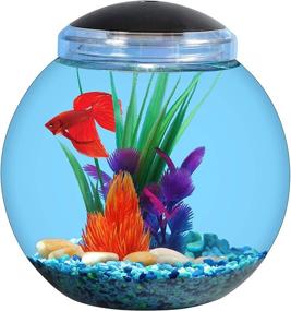 img 4 attached to 🐠 Enhance Your Home Décor with Koller Products 2-Gallon Bowl: LED Lit Aquarium