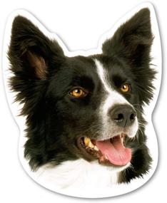 img 1 attached to Magnet America Border Collie