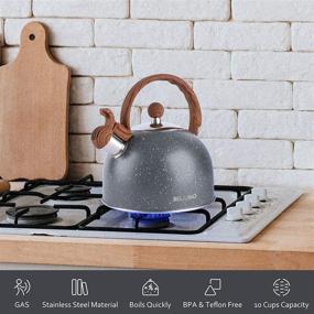 img 2 attached to BELANKO Stainless Steel Tea Kettle, 2.3 Quart / 2.5 Liter - Food Grade Stovetop Tea Pot with Wood Pattern Handle, Loud Whistling - Gray (Gas Electric Applicable) - Ideal for Tea, Coffee, Milk, and more