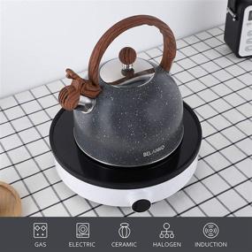 img 3 attached to BELANKO Stainless Steel Tea Kettle, 2.3 Quart / 2.5 Liter - Food Grade Stovetop Tea Pot with Wood Pattern Handle, Loud Whistling - Gray (Gas Electric Applicable) - Ideal for Tea, Coffee, Milk, and more