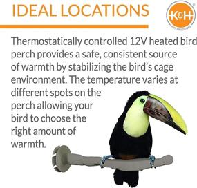 img 1 attached to 🐦 K&amp;H Pet Products Thermo-Perch - Heated Bird Perch in Small Gray