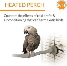 img 3 attached to 🐦 K&amp;H Pet Products Thermo-Perch - Heated Bird Perch in Small Gray