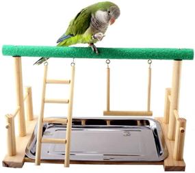 img 3 attached to 🐦 Keersi Parrots Playstand: Ultimate Wood Perch Stand Ladder Swing with Toy for Various Bird Species - Ideal for Parakeets, Cockatiels, Conures, African Greys, Cockatoos, Macaws, Lovebirds, Budgies, Finches, Canaries