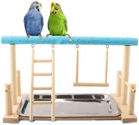 img 4 attached to 🐦 Keersi Parrots Playstand: Ultimate Wood Perch Stand Ladder Swing with Toy for Various Bird Species - Ideal for Parakeets, Cockatiels, Conures, African Greys, Cockatoos, Macaws, Lovebirds, Budgies, Finches, Canaries