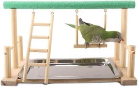 img 2 attached to 🐦 Keersi Parrots Playstand: Ultimate Wood Perch Stand Ladder Swing with Toy for Various Bird Species - Ideal for Parakeets, Cockatiels, Conures, African Greys, Cockatoos, Macaws, Lovebirds, Budgies, Finches, Canaries