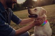 fixinus led dog collar: enhancing dog safety with 3 illuminated modes, usb rechargeable, & adjustable glowing design for small, medium, and large dogs logo