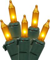 vickerman set of 50 opaque gold mini 🎄 christmas lights on green wire - dazzling holiday decorations logo