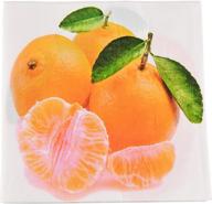 home-x orange citrus paper napkins, square disposable party napkins, 48 pack – 6.5&#34; x 6.5&#34; dimensions logo