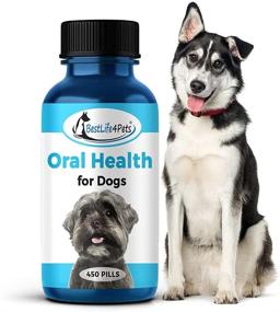 img 4 attached to 🦷 BestLife4Pets Natural Dental Care for Dogs - Plaque and Tartar Remover with Stomatitis and Gingivitis Control - Effective Anti-Inflammatory Pain Relief for Teeth and Gums - Easy-to-Use