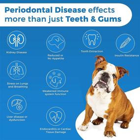 img 2 attached to 🦷 BestLife4Pets Natural Dental Care for Dogs - Plaque and Tartar Remover with Stomatitis and Gingivitis Control - Effective Anti-Inflammatory Pain Relief for Teeth and Gums - Easy-to-Use