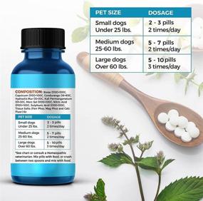img 3 attached to 🦷 BestLife4Pets Natural Dental Care for Dogs - Plaque and Tartar Remover with Stomatitis and Gingivitis Control - Effective Anti-Inflammatory Pain Relief for Teeth and Gums - Easy-to-Use