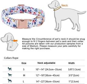 img 2 attached to 🐱 Siroomly Bowtie Dog Collar & Cat Collar: Stylish Breakaway Collar for Girls and Metal Buckle Personalized Adjustable Puppy Collar for Dogs and Cats