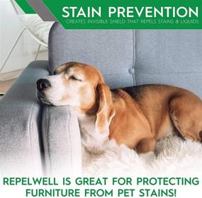 img 1 attached to 🛋️ Revitalize Your Upholstery: RepelWell Stain &amp; Water Repellent Spray (24oz) - Eco-Friendly, Pet-Safe Solution for Long-Lasting Elegance