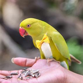 img 2 attached to 🐦 QBLEEV Cockatiel Bird Diaper Flight Suite Liners: Vibrant Yellow, Pink, Blue Shades