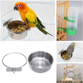img 2 attached to 🦜 4 Pack Bird Parrot Food and Water Dish Set: Stainless Steel Feeding Cups & Plastic Water Dispenser Bottle for Chinchilla, Ferret, Cockatiel, Conure, Parakeet