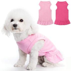 img 4 attached to 🐶 BINGPET 2 Pack Blank Dog Shirt Skirt - Soft Breathable Cute Pet Clothes, Sleeveless Dress for Girls, Dog T-Shirts Apparel, Dog Outfits, Plain Dog Shirt for Puppies, Small Extra Small and Medium Dogs - Shop Now for Adorable Dog Clothing