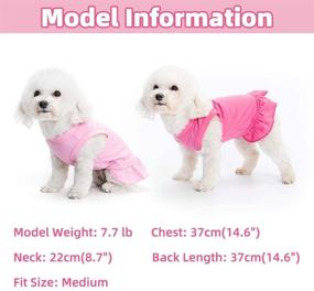 img 2 attached to 🐶 BINGPET 2 Pack Blank Dog Shirt Skirt - Soft Breathable Cute Pet Clothes, Sleeveless Dress for Girls, Dog T-Shirts Apparel, Dog Outfits, Plain Dog Shirt for Puppies, Small Extra Small and Medium Dogs - Shop Now for Adorable Dog Clothing