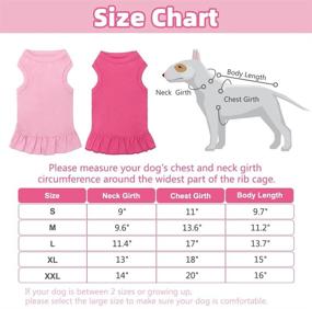 img 3 attached to 🐶 BINGPET 2 Pack Blank Dog Shirt Skirt - Soft Breathable Cute Pet Clothes, Sleeveless Dress for Girls, Dog T-Shirts Apparel, Dog Outfits, Plain Dog Shirt for Puppies, Small Extra Small and Medium Dogs - Shop Now for Adorable Dog Clothing