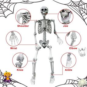 img 1 attached to 🦴 Halloween Skeleton Decoration for Haunted House - OZMI 5'4" Tall, Life-Size Skull Skeleton - 63 Inch Plastic Halloween Party Bar Yard Graveyard Decorations, Ideal for Haunted House Themes, Party Supplies