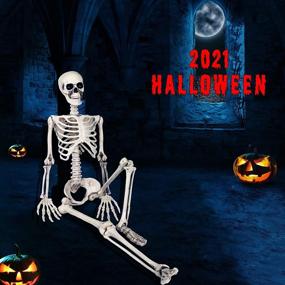 img 4 attached to 🦴 Halloween Skeleton Decoration for Haunted House - OZMI 5'4" Tall, Life-Size Skull Skeleton - 63 Inch Plastic Halloween Party Bar Yard Graveyard Decorations, Ideal for Haunted House Themes, Party Supplies