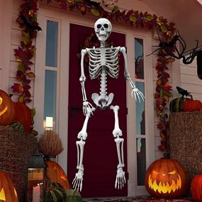 img 3 attached to 🦴 Halloween Skeleton Decoration for Haunted House - OZMI 5'4" Tall, Life-Size Skull Skeleton - 63 Inch Plastic Halloween Party Bar Yard Graveyard Decorations, Ideal for Haunted House Themes, Party Supplies