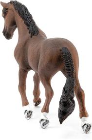 img 1 attached to 🐎 SCHLEICH 13909 Trakehner Gelding: Lifelike and Exquisite Equine Collectible