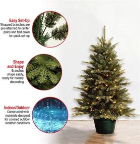 img 1 attached to 🎄 National Tree Company 3 ft Artificial Christmas Tree for Entrances - White Lights, Pot, and Everyday Collections