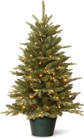 img 4 attached to 🎄 National Tree Company 3 ft Artificial Christmas Tree for Entrances - White Lights, Pot, and Everyday Collections