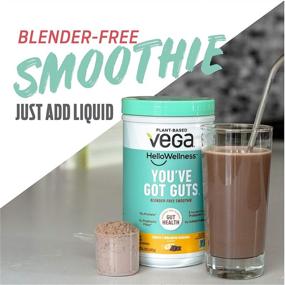 img 1 attached to Веганский здоровый коктейль без сахара для кишечника "Vega Hello Wellness Gut-Friendly Blender Free Smoothie, Choco Cinnamon Banana (14 порций, 14.3 унции) - Растительный протеиновый порошок для веганов с 5 г пребиотических волокон, без добавления сахара