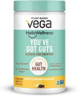 vega hello wellness gut-friendly blender free smoothie, choco cinnamon banana (14 servings, 14.3oz) - plant-based vegan protein powder with 5g prebiotic fiber, zero added sugar logo