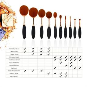 img 1 attached to 🌹 BeautyCoco Oval Makeup Brush Set: Professional 10 Piece Rose Gold Brushes for Foundation, Contour, Concealer, and Blending