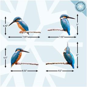 img 3 attached to Крепления для окон с защитой от столкновений Kingfisher Birds