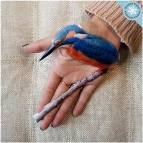 img 2 attached to Крепления для окон с защитой от столкновений Kingfisher Birds