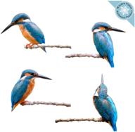 крепления для окон с защитой от столкновений kingfisher birds логотип